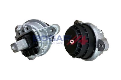 BOGAP Variklio montavimas