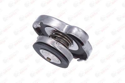 BUSON RADIATOR BIRTH 80429 8