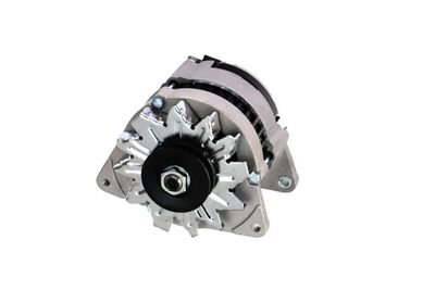 GENERATOR / ALTERNATOR REMANTE 011003000066R 59