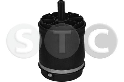 LUFTFEDER FAHRWERK STC T442948 1