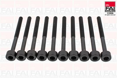 FAI AutoParts Varžtų kompl., cil. galvutės varžtai