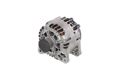 GENERATOR / ALTERNATOR REMANTE 011003000865R 7