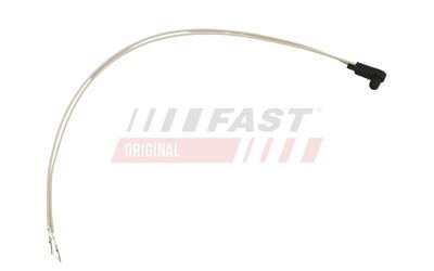 FT10041