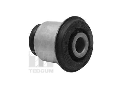 Mounting, control/trailing arm TED10644