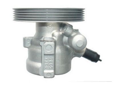 HYDRAULIKPUMPE LENKUNG SPIDAN 54304 3