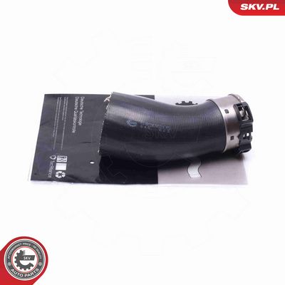 FURTUN EAR SUPRAALIMENTARE