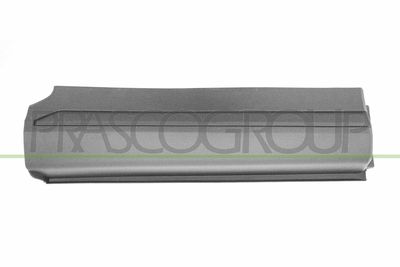 ELEMENTE DECORATIVE/PROTECTIE PORTIERA