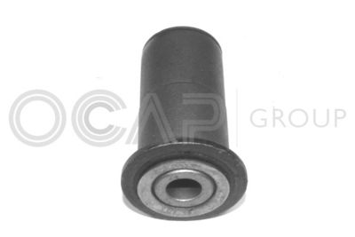 BUCSA ARBORE DE DIRECTIE