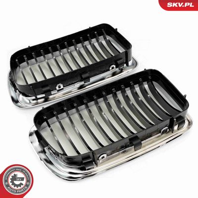 GRILA RADIATOR ESEN SKV 66SKV214 5