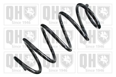 QUINTON HAZELL QCS8289 Пружина подвески  для AUDI (Ауди)