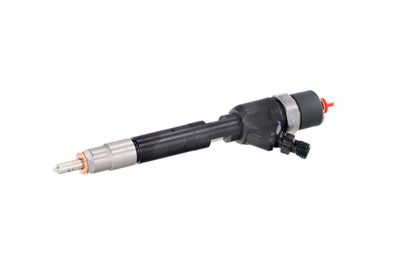 INJECTOR REMANTE 002003000150R 6