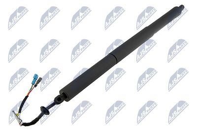 Dujinė spyruoklė, bagažinė