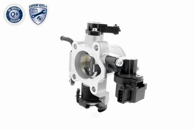 CARCASA CLAPETA ACKOJA A53810002 9