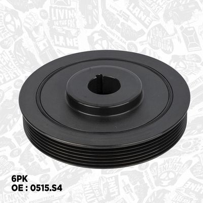 FULIE CUREA ARBORE COTIT ET ENGINETEAM PC0003 2