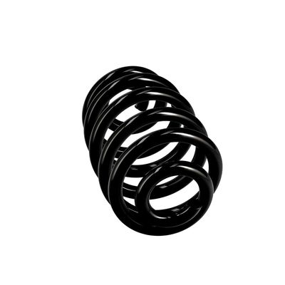 ARC SPIRAL EIBACH R10010 24