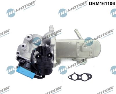 Chłodnica, recyrkulacja spalin DR.MOTOR AUTOMOTIVE DRM161106