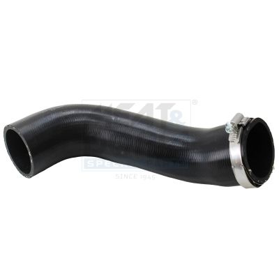 FURTUN EAR SUPRAALIMENTARE