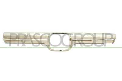 ZIER-/SCHUTZLEISTE KüHLERGITTER