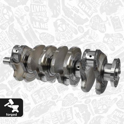 ARBORE COTIT ET ENGINETEAM HK0165 2