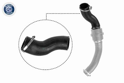 FURTUN EAR SUPRAALIMENTARE