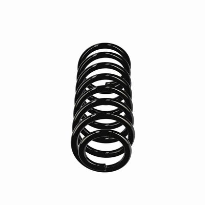 ARC SPIRAL EIBACH R11075 1