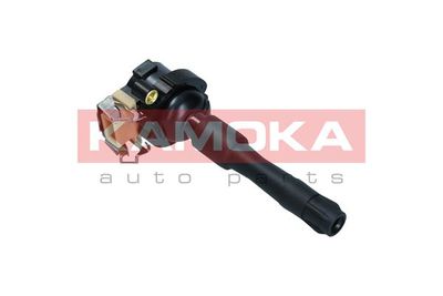 Ignition Coil 7120081