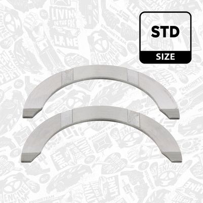 SAIBA DISTANTIER ARBORE COTIT