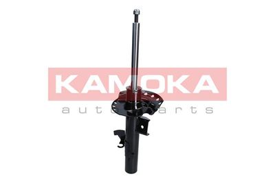 Shock Absorber 2000041