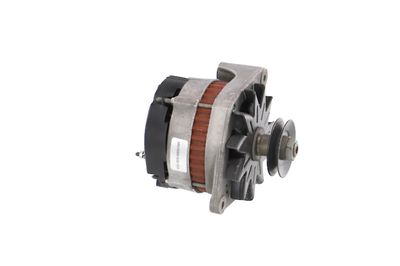 GENERATOR / ALTERNATOR REMANTE 011003000079R 50