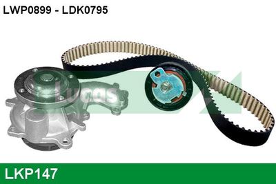 WASSERPUMPE + ZAHNRIEMENSATZ