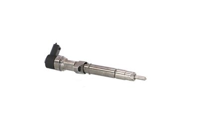 INJECTOR REMANTE 002003001033R 49
