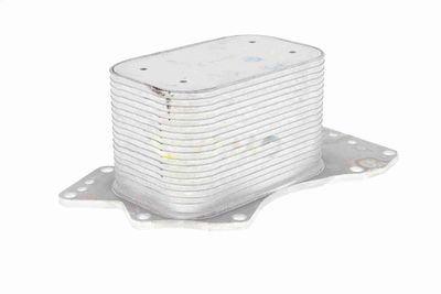 RADIATOR ULEI ULEI MOTOR VEMO V15606069 4