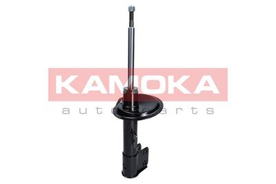 Shock Absorber 2000215