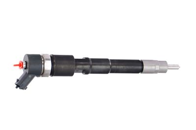 INJECTOR REMANTE 002003000031R 38
