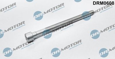 Šroub, držák vstřikovací trysky LIZARTE DRM0608