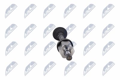 PLANETARA NTY NPWFR075 34