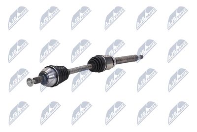 PLANETARA NTY NPWFR080 19