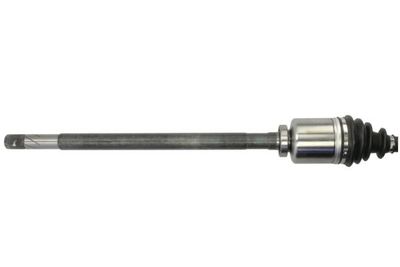 Drivaxel PASCAL G21020PC för RENAULT, NISSAN