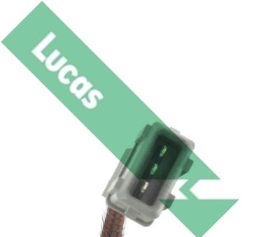 SENOR BATAI LUCAS SEB2012 1