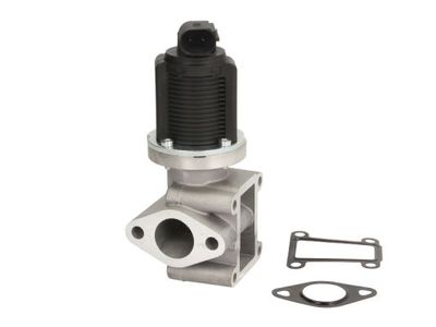 EGR Valve ENT500023