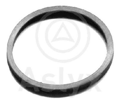 Aslyx AS-200771 Прокладка, термостат для OPEL ASTRA H CLASSIC универсал (A04)