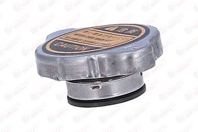 BUSON RADIATOR BIRTH 81184 3