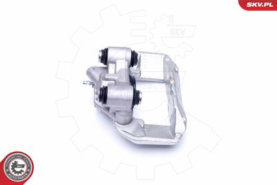 Brake Caliper 42SKV112