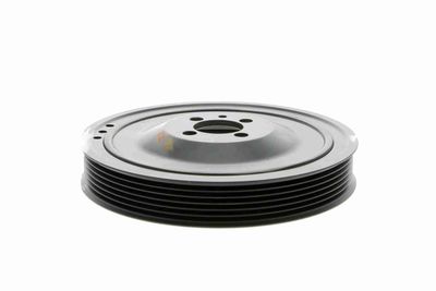 FULIE CUREA ARBORE COTIT VAICO V401481 2