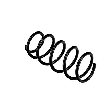 ARC SPIRAL EIBACH R10116 10