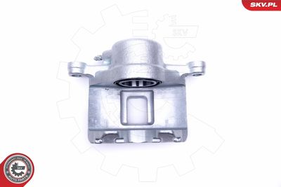 Brake Caliper 46SKV082