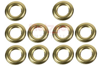 WäRMESCHUTZSCHEIBE EINSPRITZANLAGE