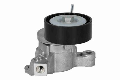 INTINZATOR CUREA CUREA DISTRIBUTIE