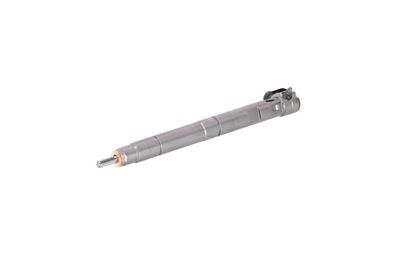 INJECTOR REMANTE 002003000135R 10