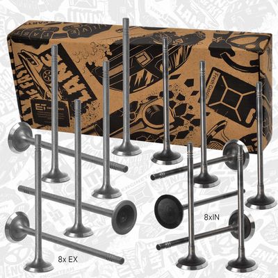 SET SUPAPE SUPAPă ADMISIE/EVACUARE